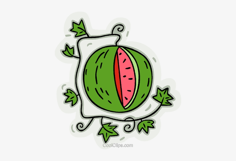 Watermelon On Vine Royalty Free Vector Clip Art Illustration - Clip Art, transparent png download