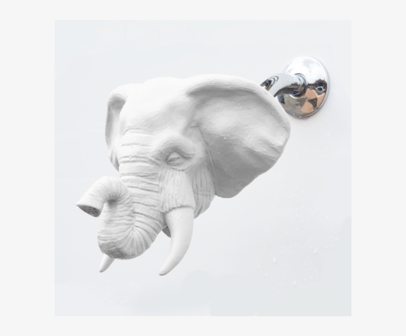 Elephant Showerhead - Elephant, transparent png download