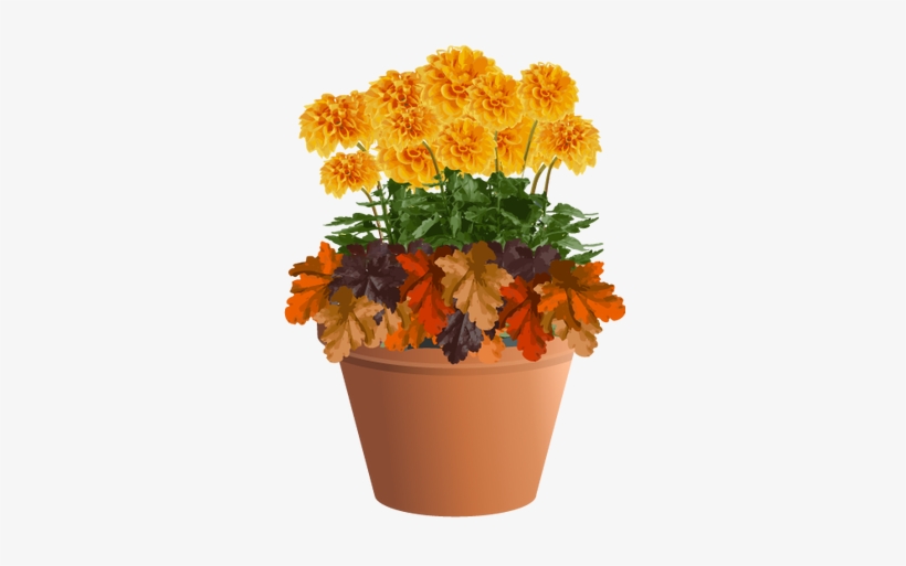 Autumn Planting Idea - Marigold In A Planter Transparent, transparent png download