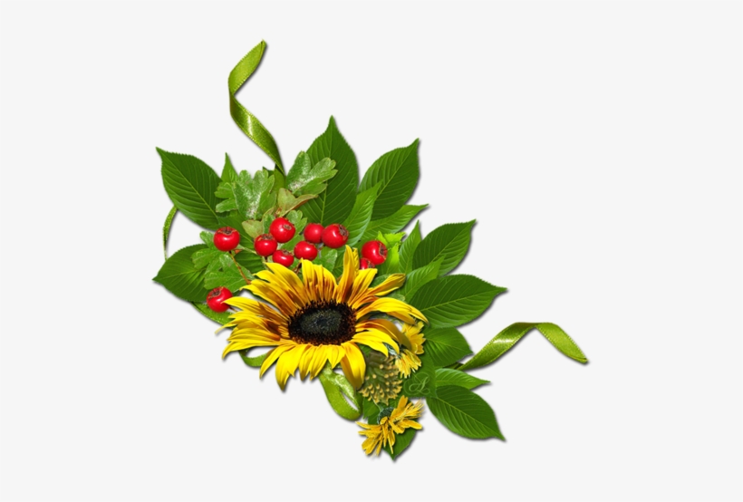 45 - Sunflower, transparent png download