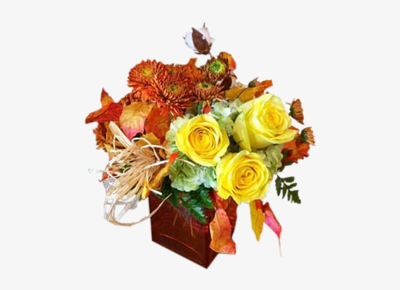 Shades Of Autumn - Garden Roses, transparent png download