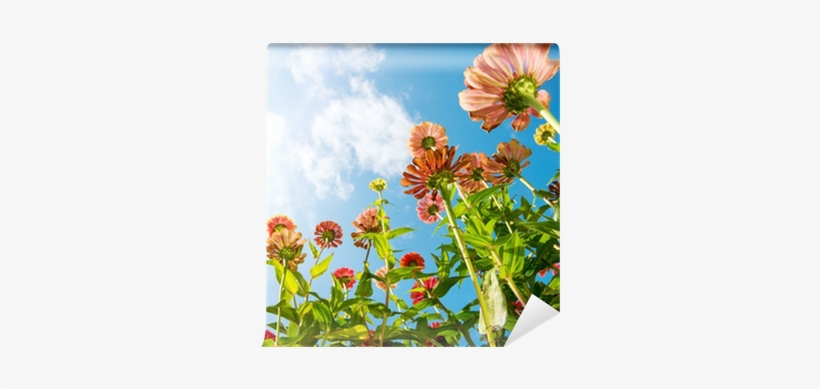 Flowers Over Blue Sky - Flower, transparent png download