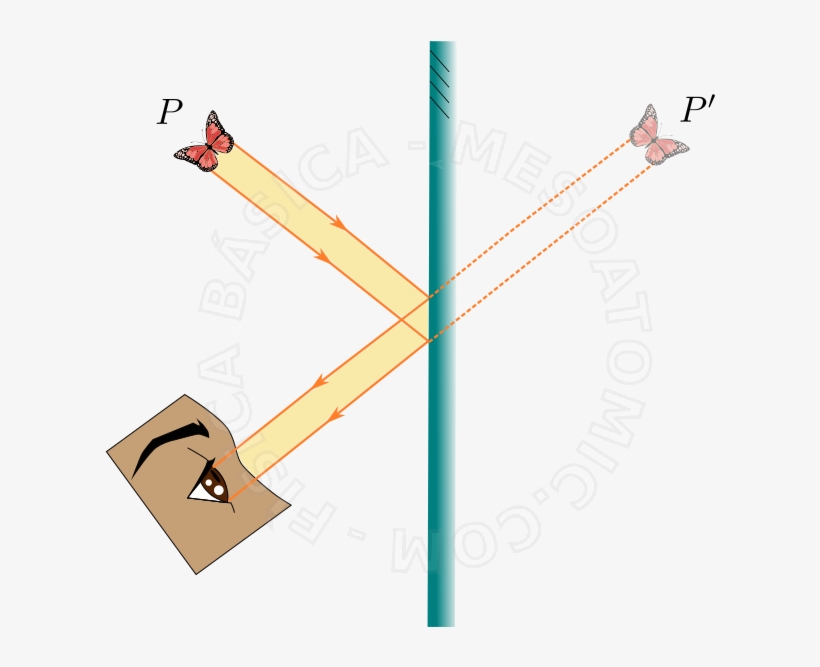 Ilustração De Uma Borboleta Visto Atráves De Um Espelho - Imagenes De Espejo Plano, transparent png download