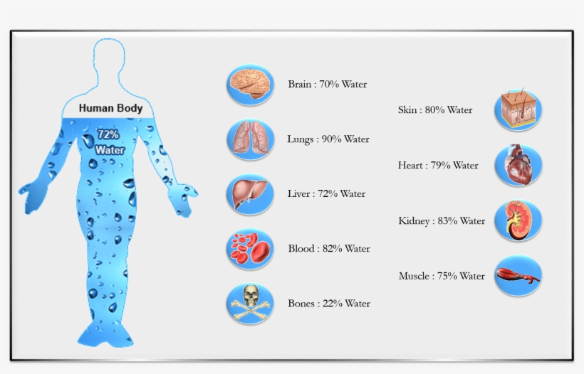 If The Water Being Consumed Is Not Free From Harmful - Importance Of Water In Human Being, transparent png download