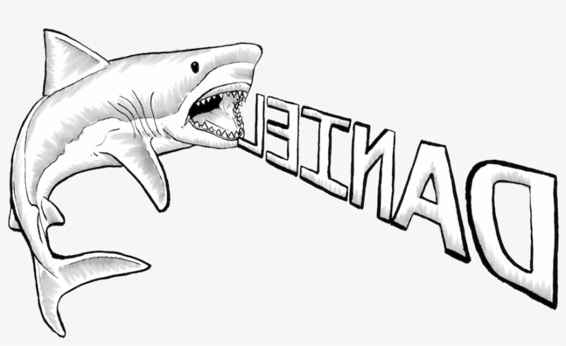Great White Shark Drawing Great White Shark Transparent Png 950x596 Free Download On Nicepng