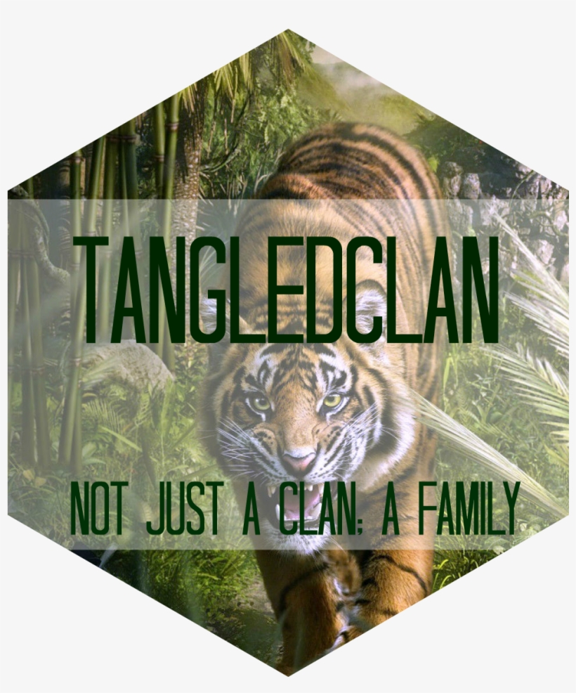 Jungle Tiger Roar Darwing Art Hd Animal Wallpapers - Graphic Design, transparent png download