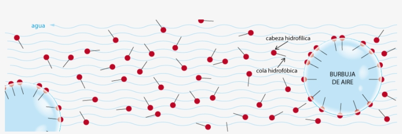 ¿cómo Funciona Un Skimmer - Illustration, transparent png download