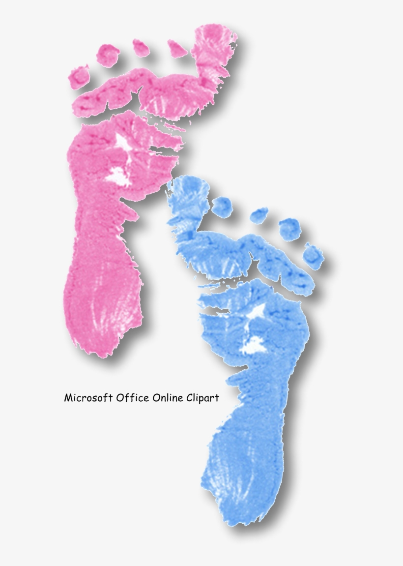 "the Baby Book" - Baby Feet, transparent png download