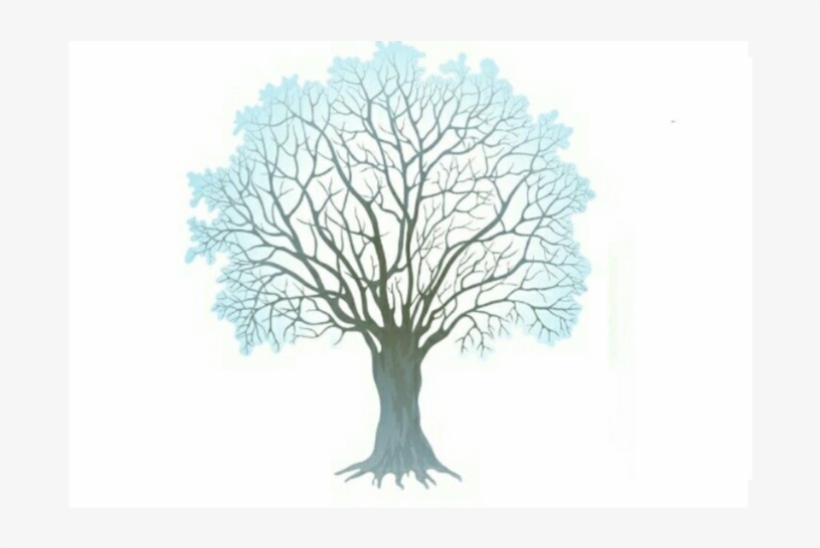 Winter Tree Clipart Png, transparent png download