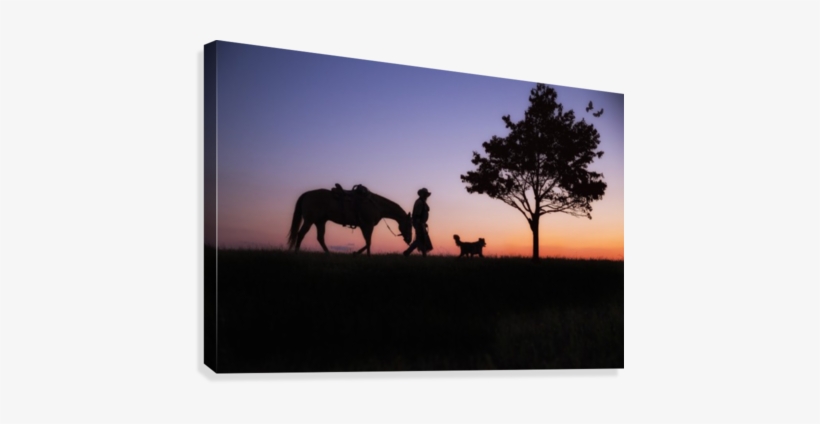 Cowboy Canvas Print - Silhouette, transparent png download