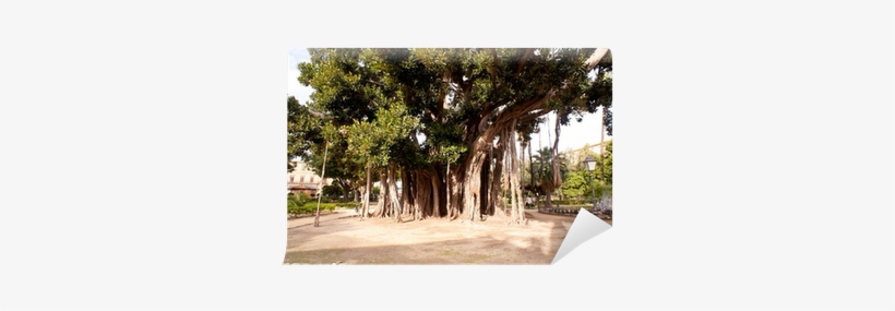 Stock Photography, transparent png download