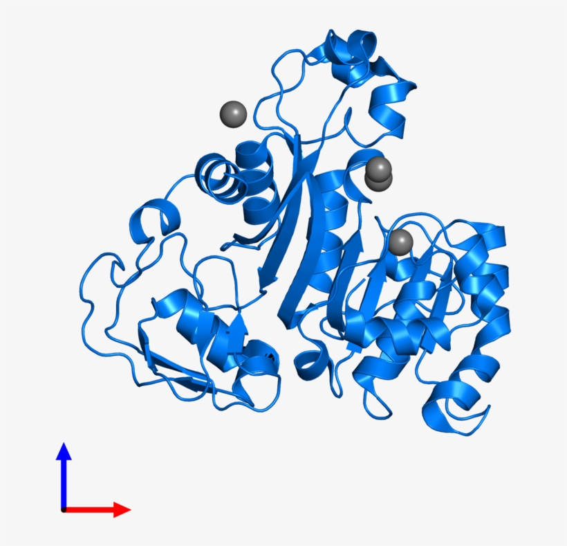 <div Class='caption-body'>pdb Entry 4fsd Contains 1 - Illustration, transparent png download