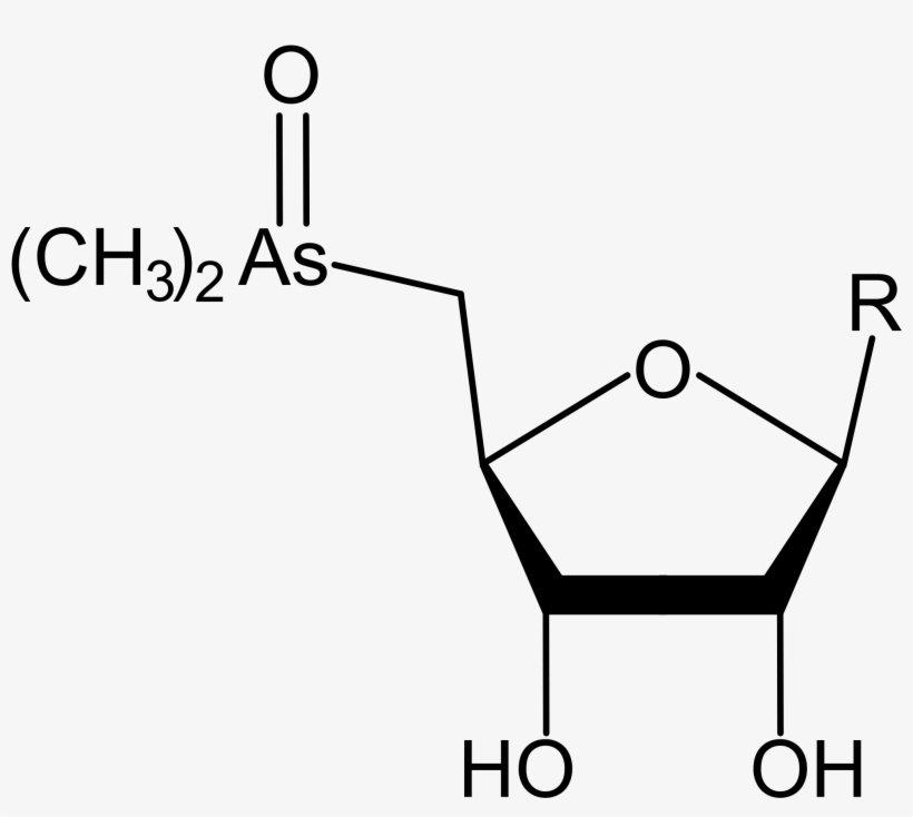 Arsenic-containing Ribose Derivatives - Arsenic, transparent png download