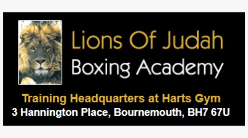 Masai Lion, transparent png download