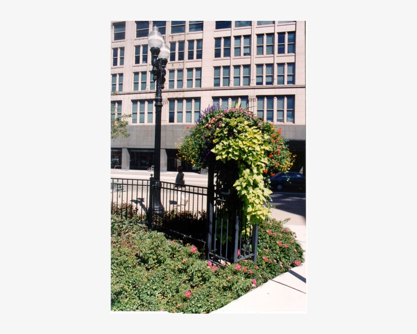 Guide To The Chicago Landscape Ordinance Chicago, Illinois - Fence, transparent png download