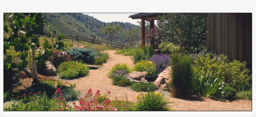 Xeriscaping Gardening - Xeriscaping, transparent png download