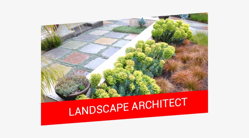 Offer Banner6 - Landscape Design, transparent png download