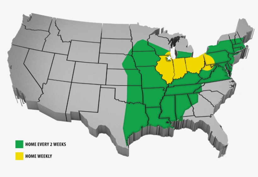 Lease Purchase Purchase Your Truck Here - Cicadas In Tennessee 2011, transparent png download