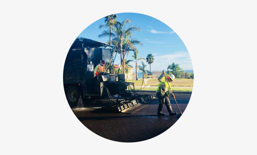 Vss International Slurry Seal - Palm Tree, transparent png download