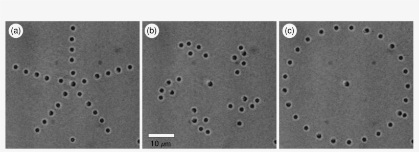 Optical Tweezers, transparent png download