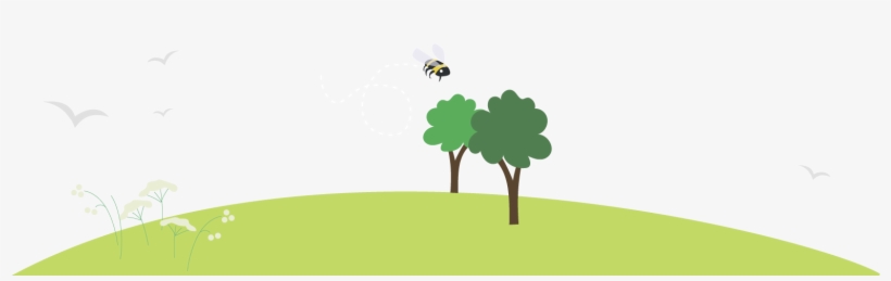 Loughborough Brand Studio A Dozen Eggs Building A Brand - Loughborough, transparent png download