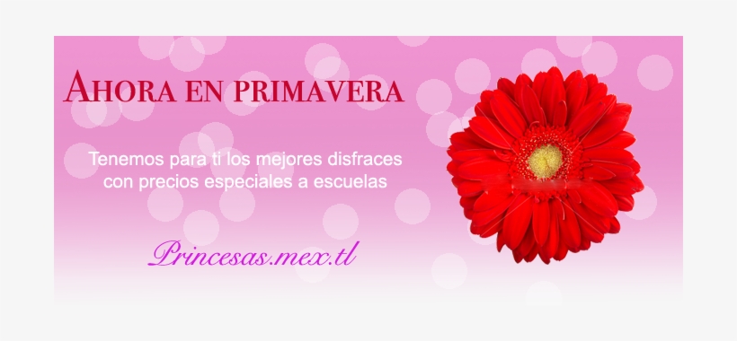 Vestidos De Primera Comunion - First Communion, transparent png download