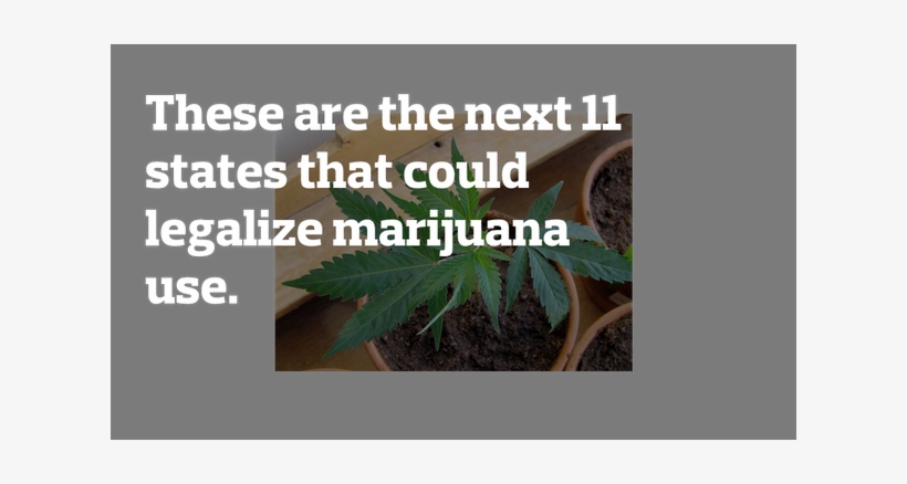 Share - Omega Lightning Protection, transparent png download