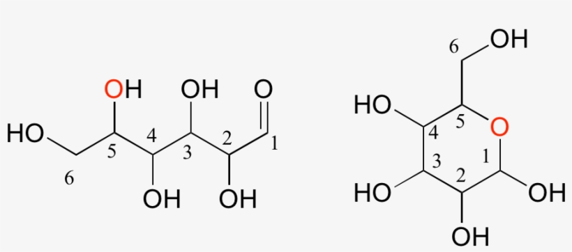 Disaccharides Are Two Monosaccharides Linked Together - Manganese Gluconate, transparent png download