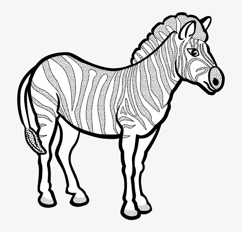 Line Art Zebra Black And White Free Commercial Clipart - Line Art Of Zebra, transparent png download
