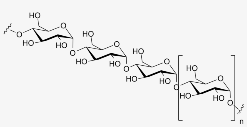 Polysaccharide Structure, transparent png download