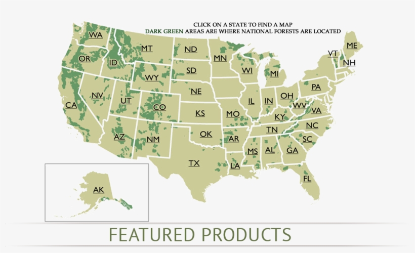 National Forest Map Store National Forest Map Store - National Forest Map Transparent Png - 1039X584  - Free Download On Nicepng