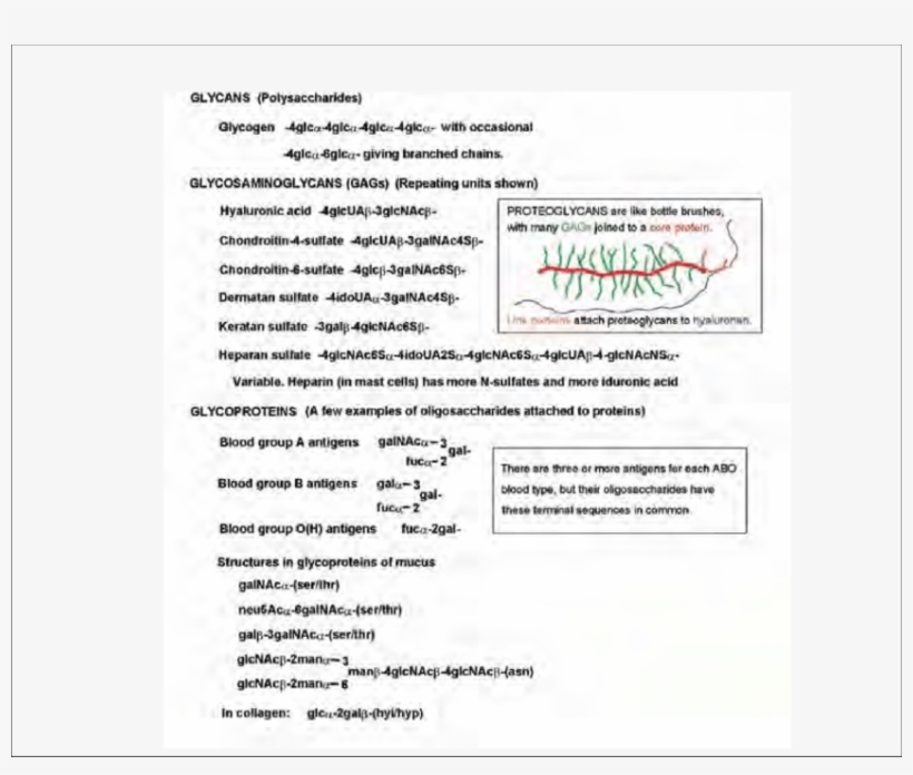 Sugar Sequences Of Some Macromolecular Carbohydrates - Carbohydrate, transparent png download