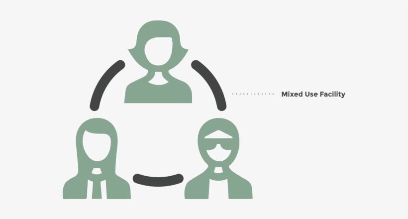 09 Am 25923 Trees - Illustration, transparent png download