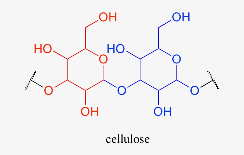 The Linking Group In Carbohydrates Is Not One That - Organic Structure Of Carbohydrates, transparent png download