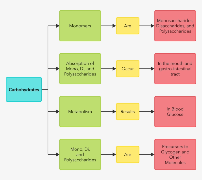 This Concept Map Gives A Tour Of The Major Concepts - Orange, transparent png download