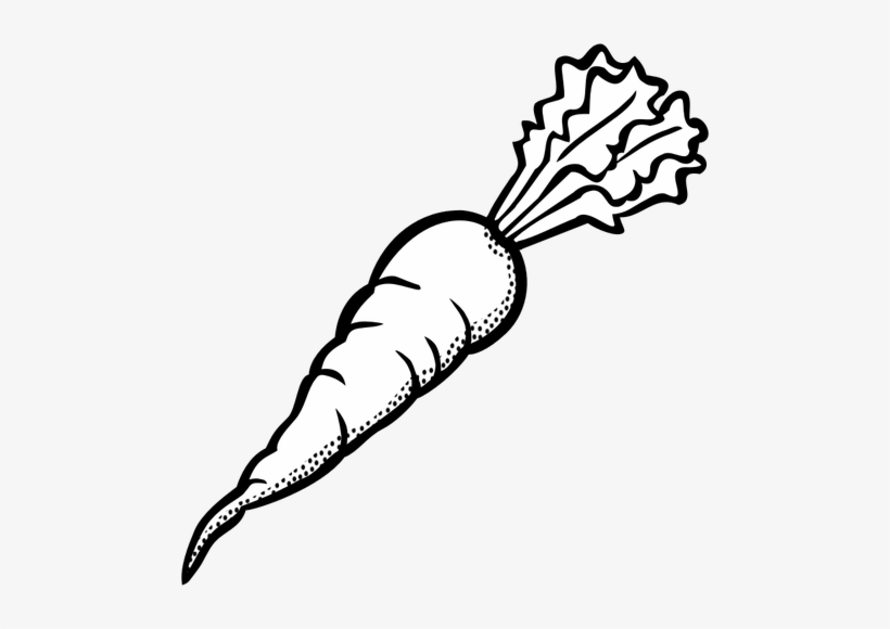 Vegetables Black And White Clip At Of Ripe Carrot In - Black And White