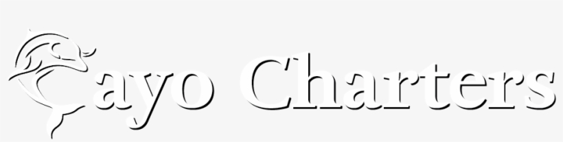 Dolphin Watching - Cuyah, transparent png download