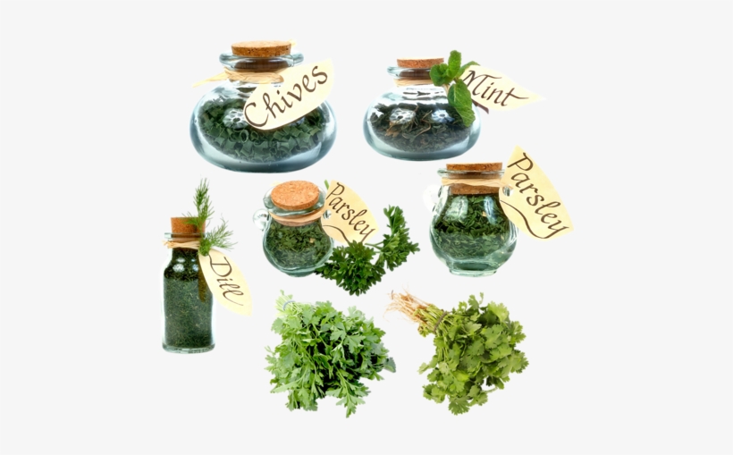 "vegetables Clipart" - Face Cream With Seaweed * Anti - Wrinkle * Seaweed, transparent png download