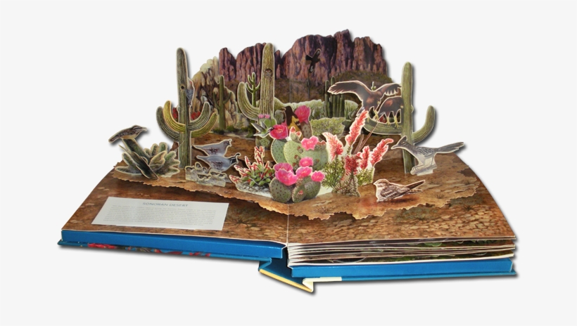 Sonoran Desert Smaller, transparent png download