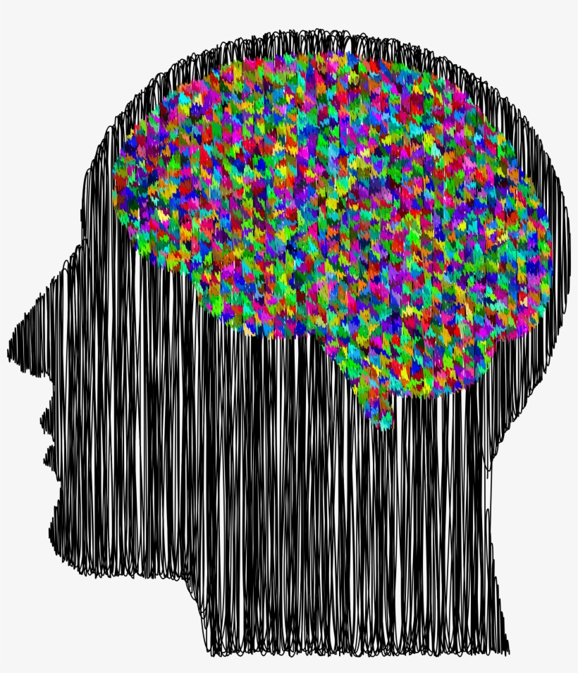 Big Image - Sketsa Tempurung Kepala, transparent png download