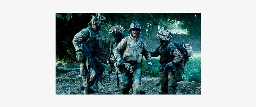 Posted By Pbs Publicity On Oct 01, 2012 At - Armadillo Film, transparent png download