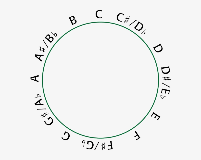 240 × 240 Pixels - Circle Of Fifths Toy, transparent png download