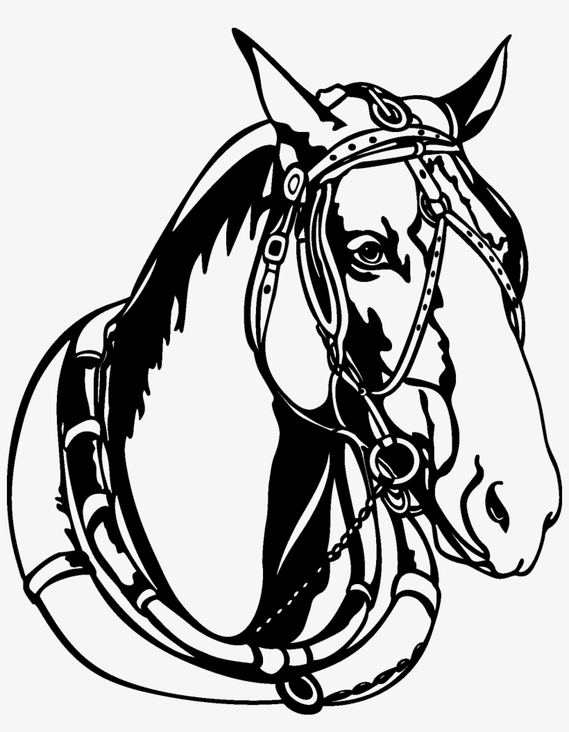 12 Horse Head Black And White Vectors [eps File] - Horse Vector, transparent png download