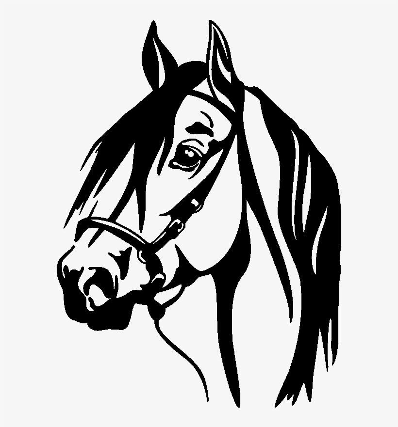 Download Horse Head Silhouette Png For Kids Siluetas Cabeza De Caballo Transparent Png 800x800 Free Download On Nicepng