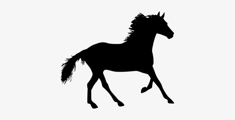 Silhouette Of A Horse - Arklis Png, transparent png download