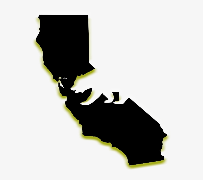 State Approved Drivers Ed - Love In The Air Is Thicker Than, transparent png download