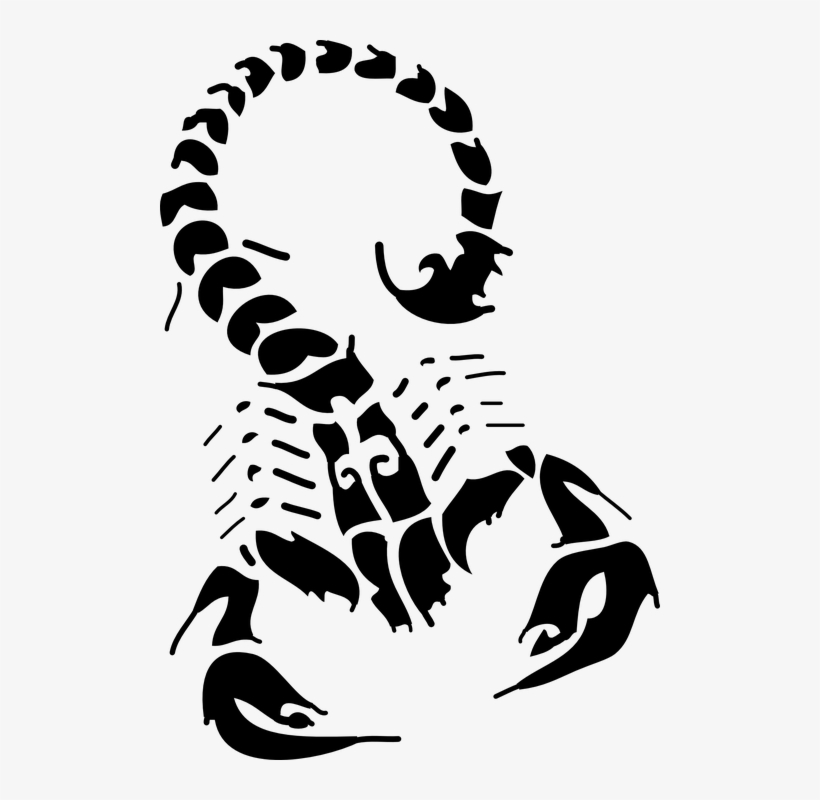 Scorpio Png - Scorpion Tattoo, transparent png download