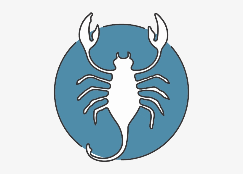 Image Of Saturn Return Graphic For Astrology - Cusp, transparent png download