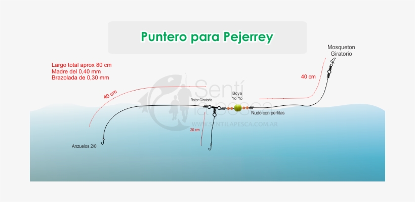 Pointer, transparent png download