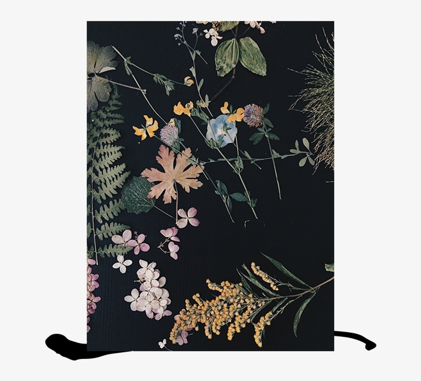 Home Decor - “ - Motif, transparent png download